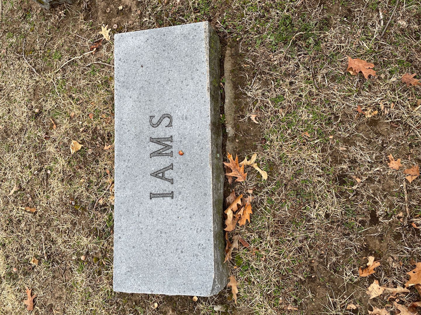 Virgil M. Iams's grave. Photo 1