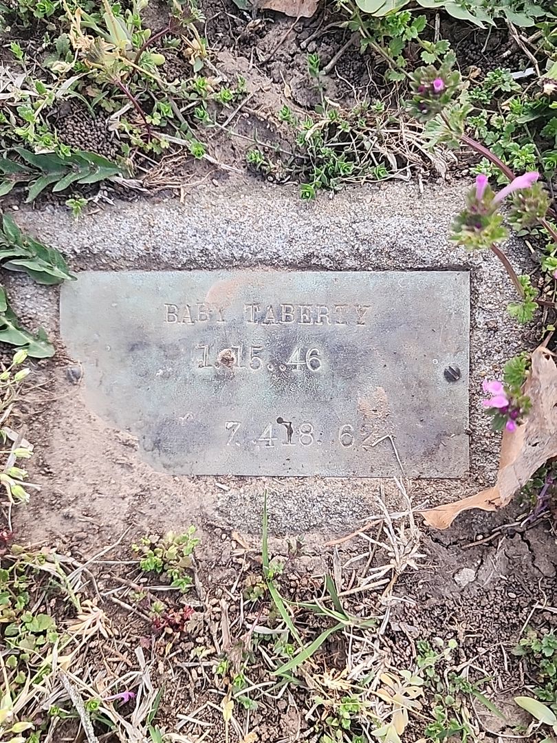 Curtis Lynn Tabery's grave. Photo 1