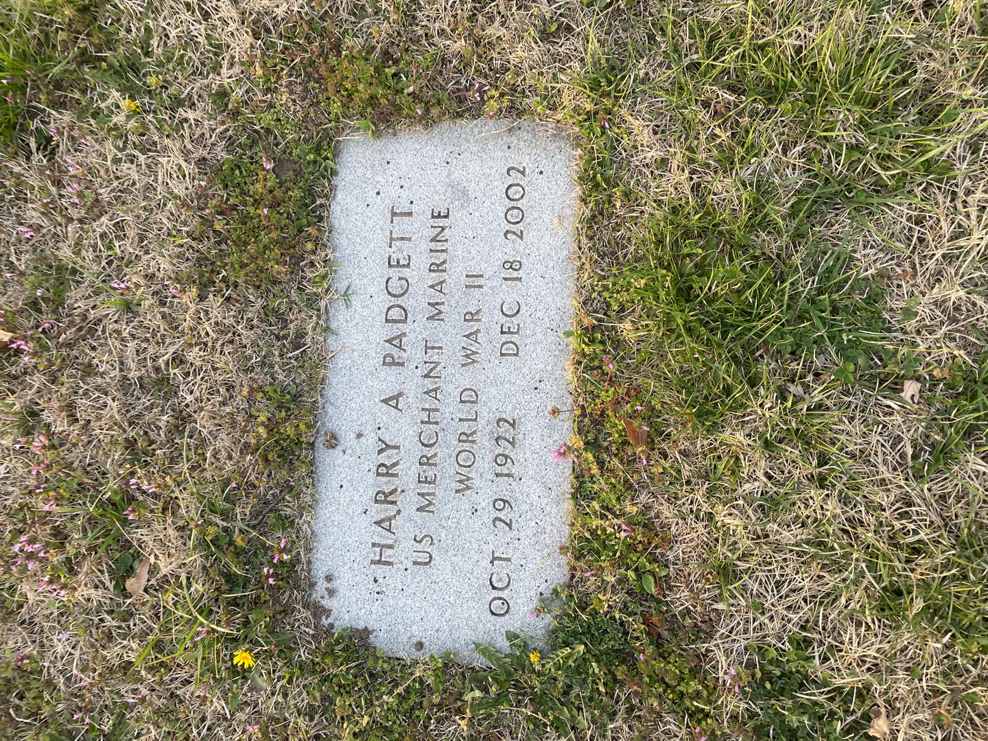 Harry Allen Padgett's grave. Photo 1