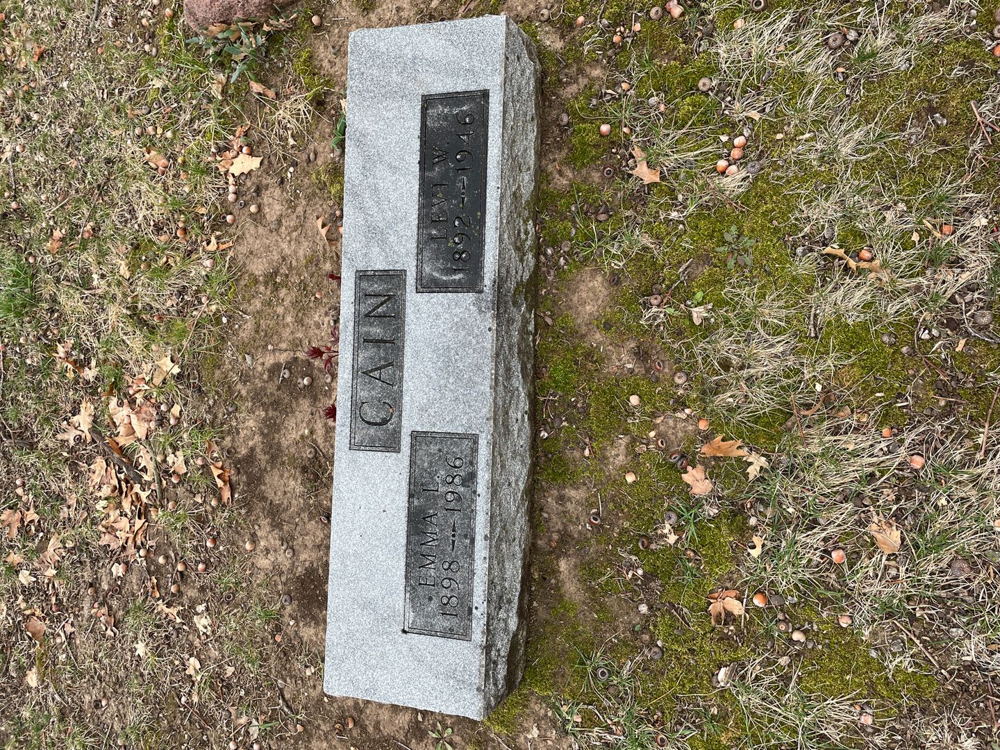 Levi W. Cain's grave. Photo 1