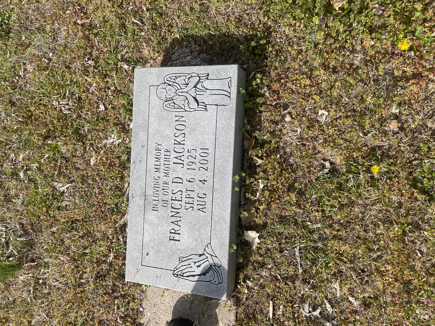Frances D. Jackson's grave. Photo 1