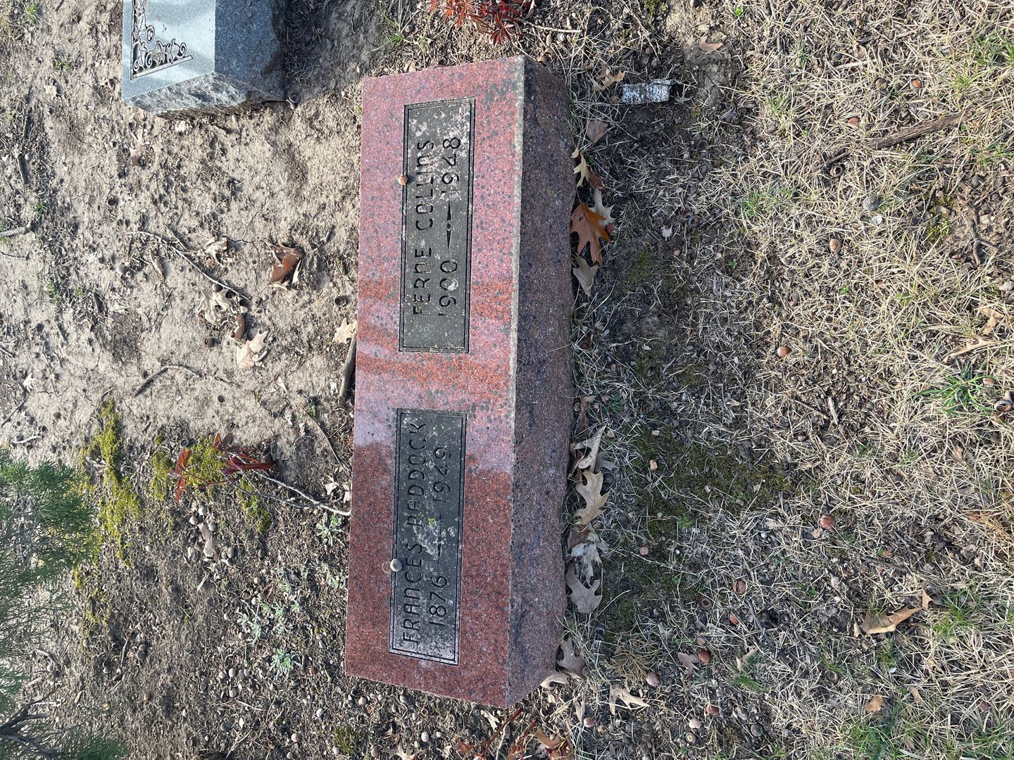 Missus/Madam Frances Paddock's grave. Photo 1