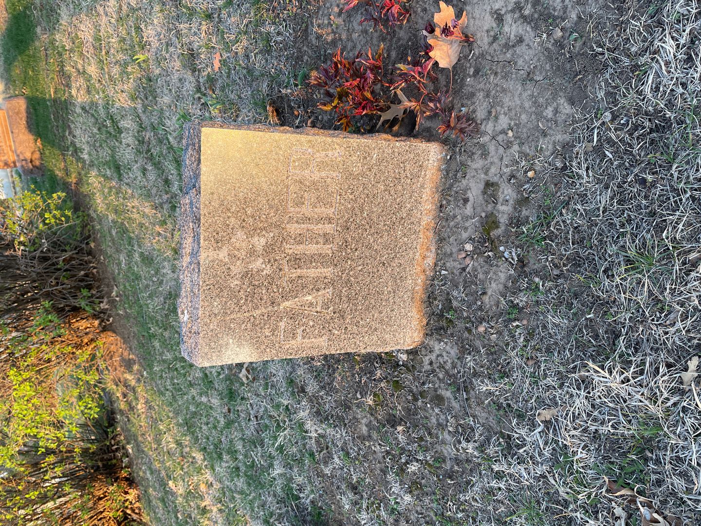 Charles H. MacAuley's grave. Photo 1