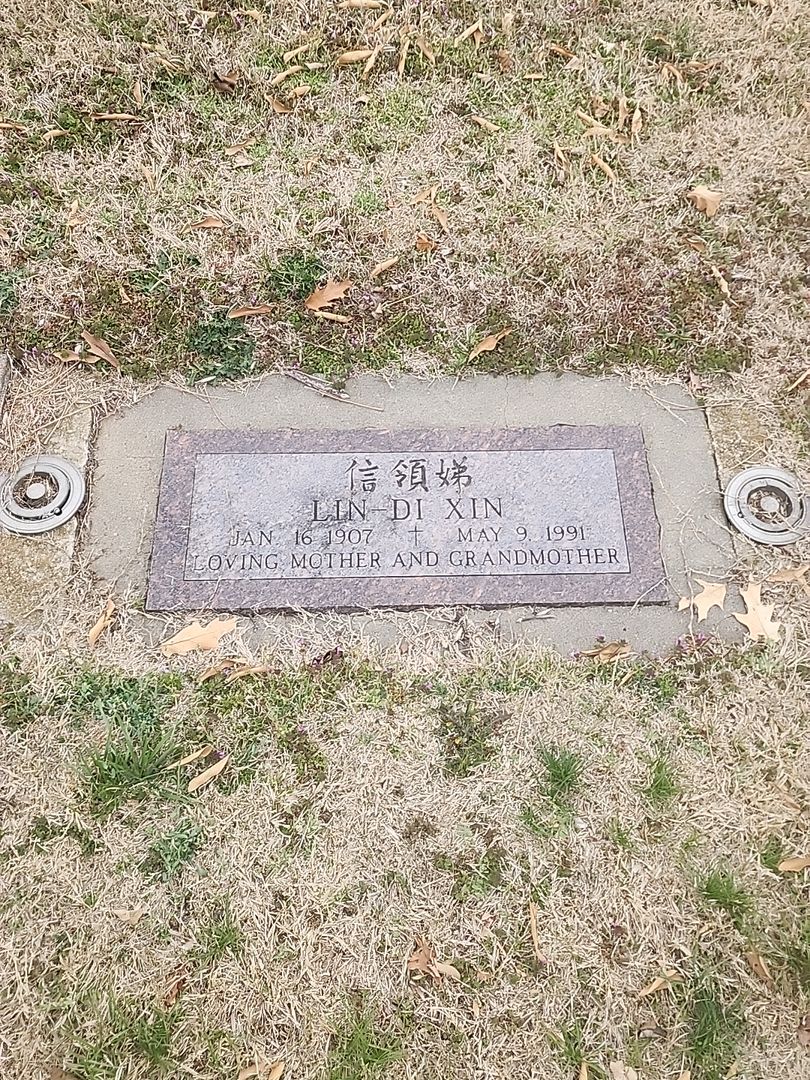 Lin-Di Xin's grave. Photo 1