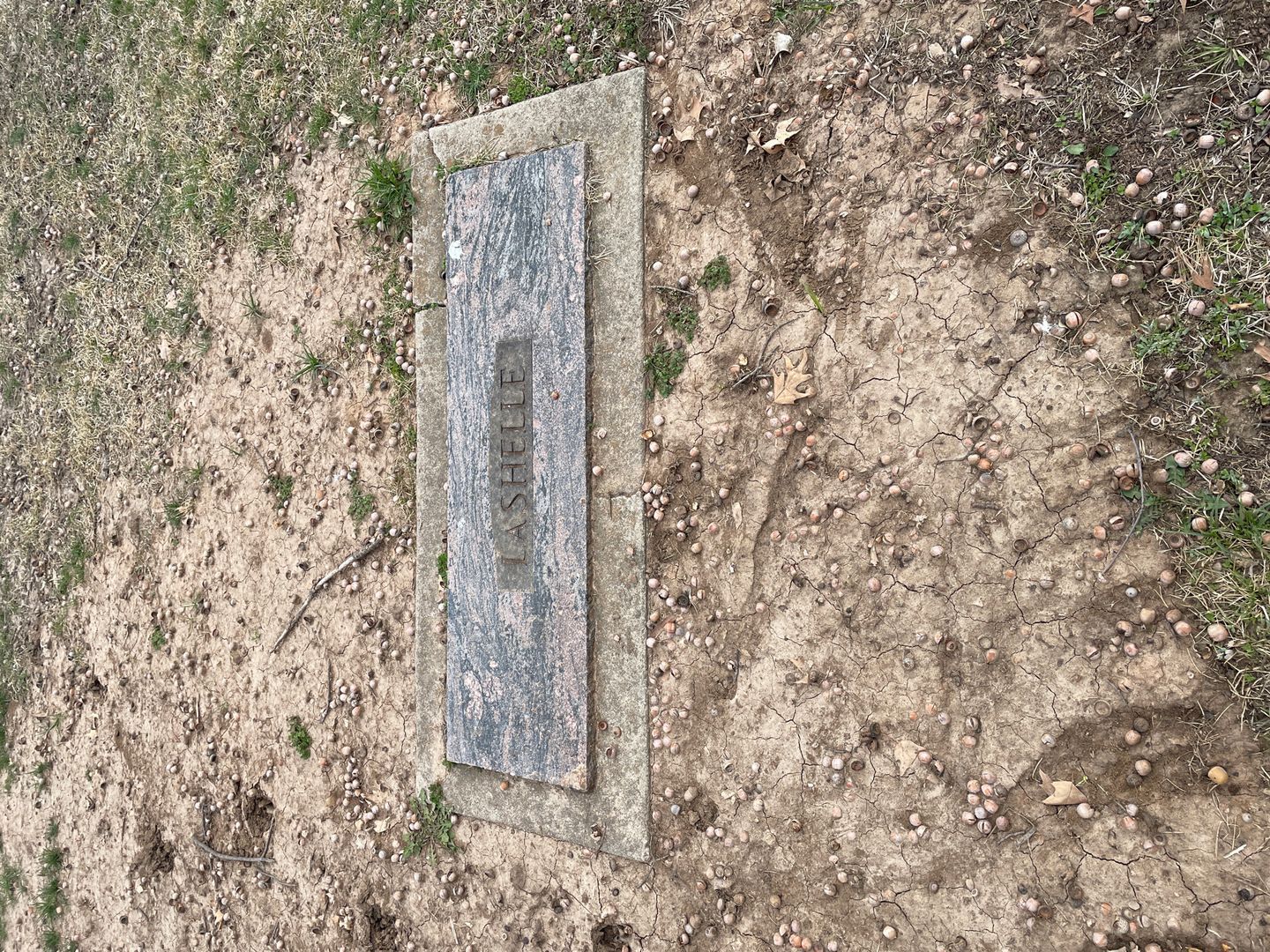 Charles O. LaShelle's grave. Photo 1