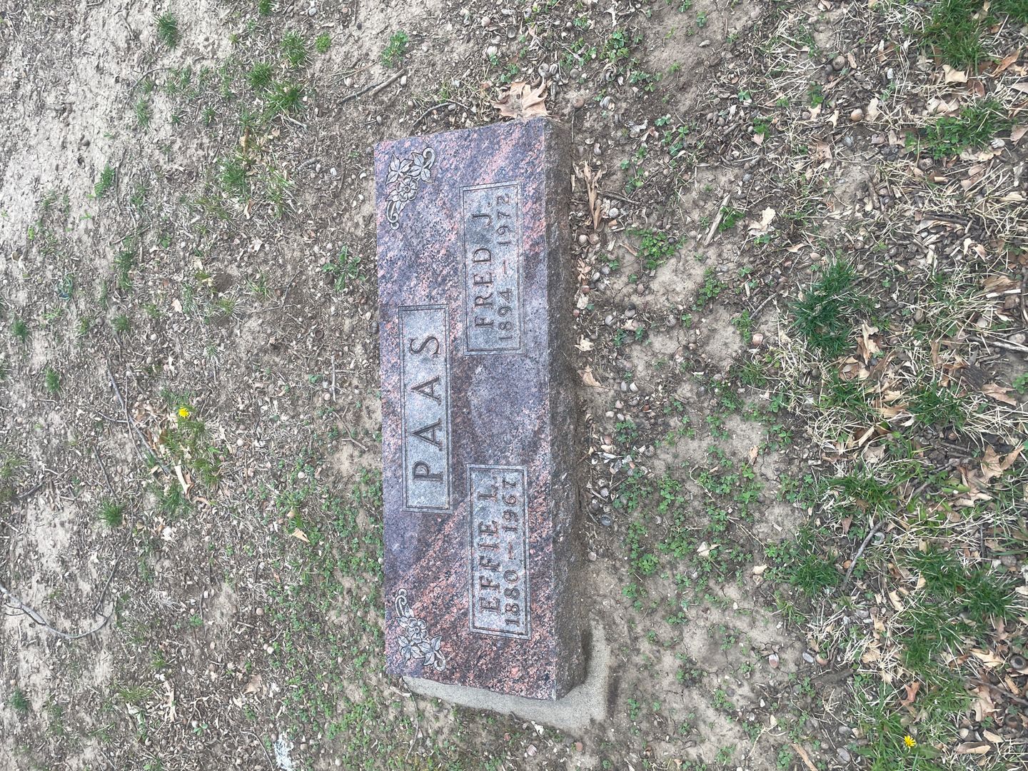 Effie L. Paas's grave. Photo 1