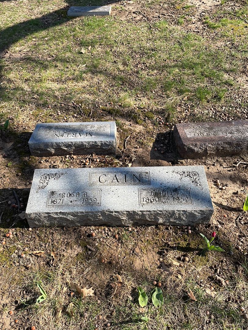 Rosa Ann Cain's grave. Photo 1